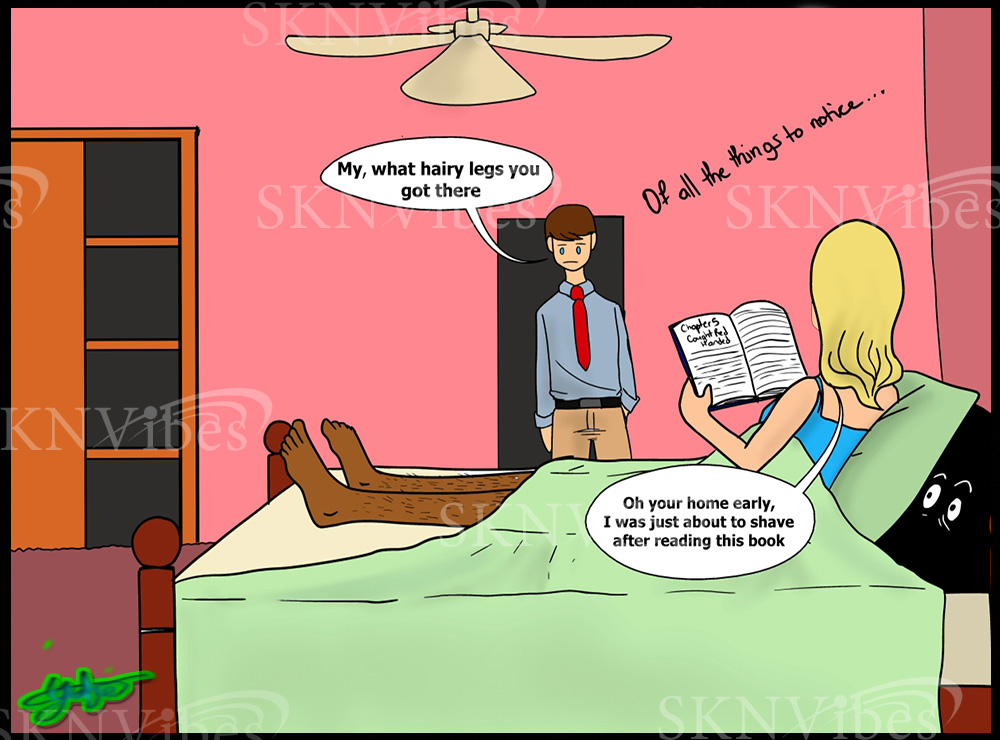 SKNVibes Toon Center Honey I'm Home Details